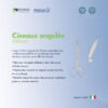 Ciseaux angulés 120mm