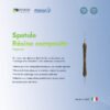 Spatule Résine Composite-Applica