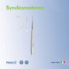 Syndesmotome