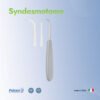 Syndesmotome