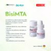 BisiMTA – Ciment de réparation MTA biocompatible pour endodontie