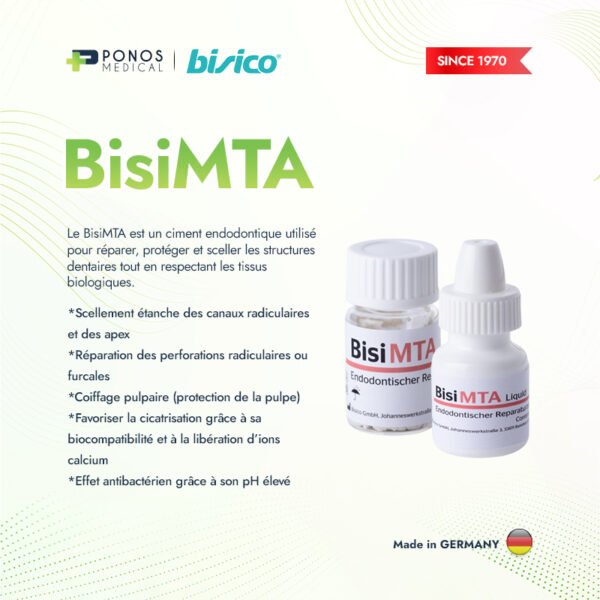 BisiMTA – Ciment de réparation MTA biocompatible pour endodontie