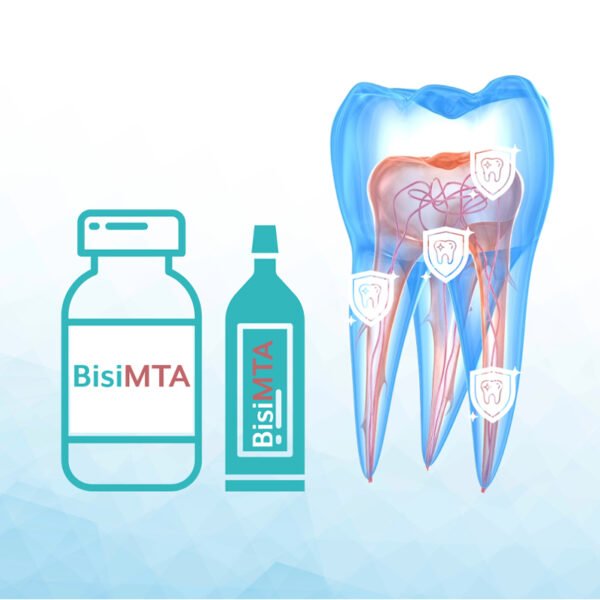 BisiMTA – Ciment de réparation MTA biocompatible pour endodontie