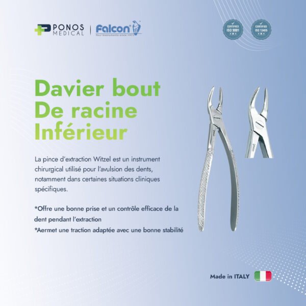 Davier Bout de racine inférieur