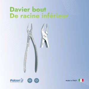 Davier Bout de racine inférieur