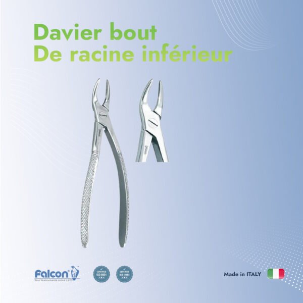 Davier Bout de racine inférieur