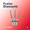 Fraise diamantée forme Conge Bague Noir (5 pièces)
