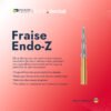 Fraise ENDO-Z