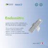 Endomètre