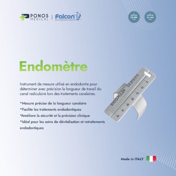 Endomètre