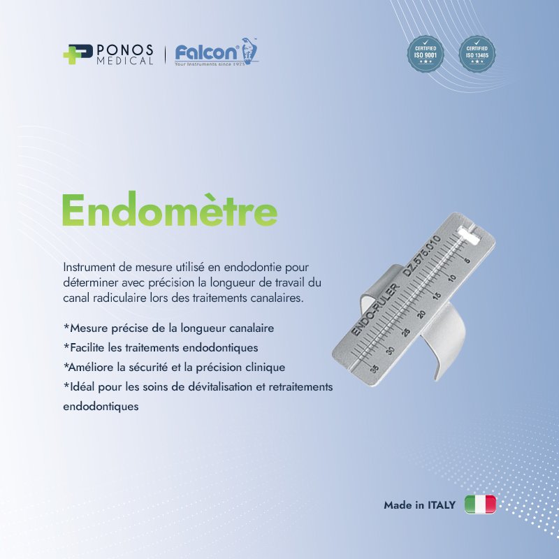 Endomètre – PONOS Medical