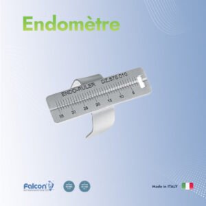 Endomètre