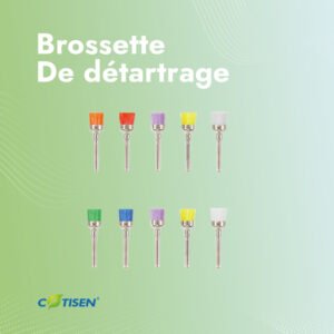 Brossette de détartrage  100pcs