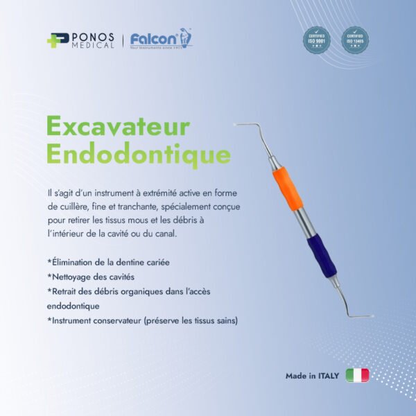 Excavateur endodontique