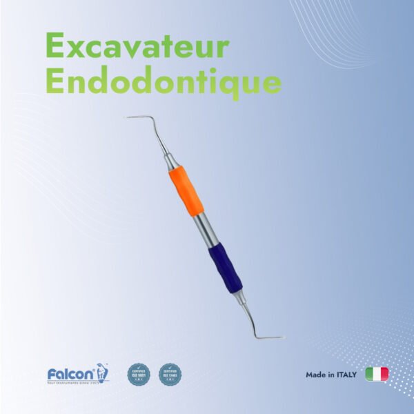 Excavateur endodontique
