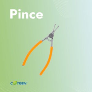 Pince
