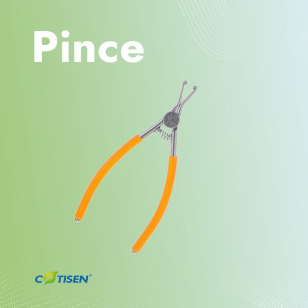 Pince