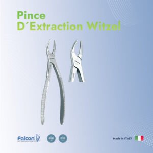 Davier D´extraction Bout de Racine Sup