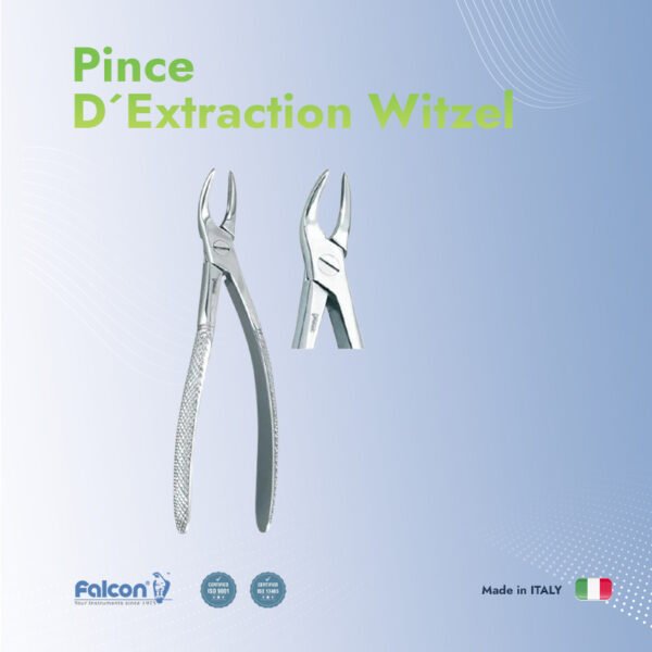 Davier D´extraction Bout de Racine Sup