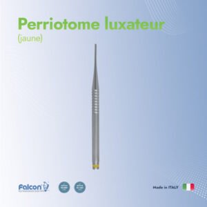Perriotome luxateur (Jaune)