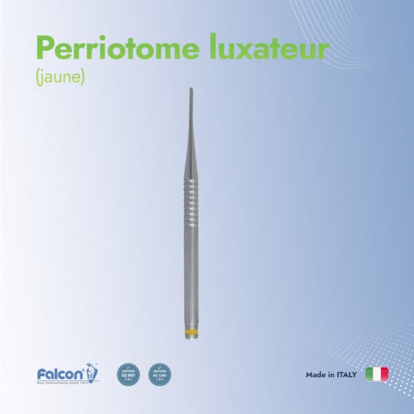 Perriotome luxateur (Jaune)