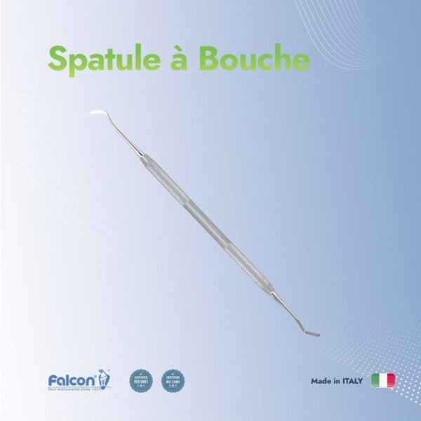 Spatule à Bouche