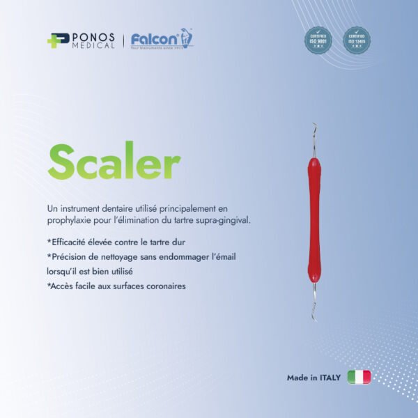 scaler 2 Scaler