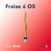 Fraise á OS (1Piéce)