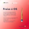Fraise á OS (1Piéce)