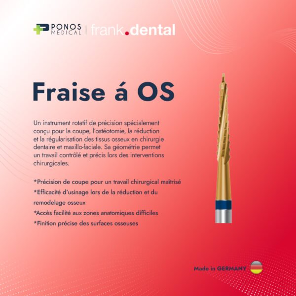 Fraise á OS (1Piéce)